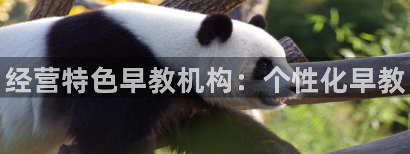 天顺娱乐茸：经营特色早教机构：个性化早教