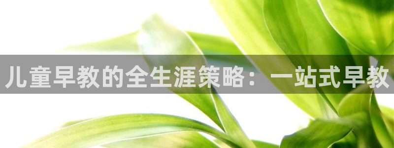 天顺娱乐伽qq寇46 99登录科：儿童早教的全生涯策略：一站式早教