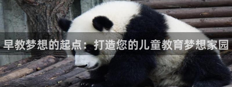 天顺娱乐短72182：早教梦想的起点：打造您的儿童教育梦想家园