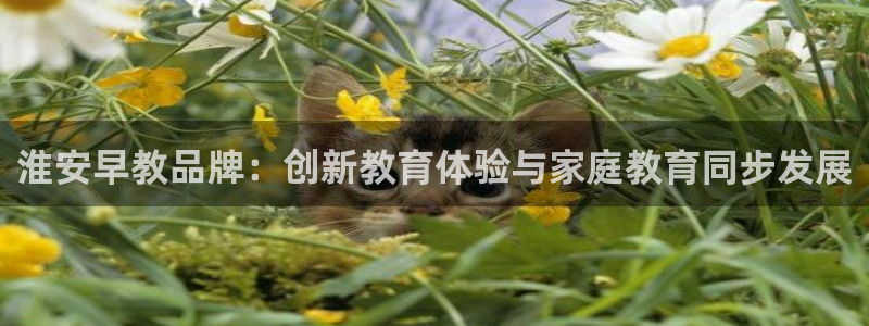洞天天顺休闲娱乐：淮安早教品牌：创新教育体验与家庭教育同步发展