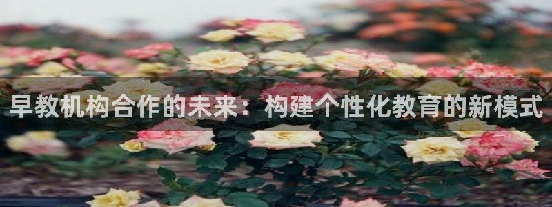 天顺娱乐地址：早教机构合作的未来：构建个性化教育的新模式