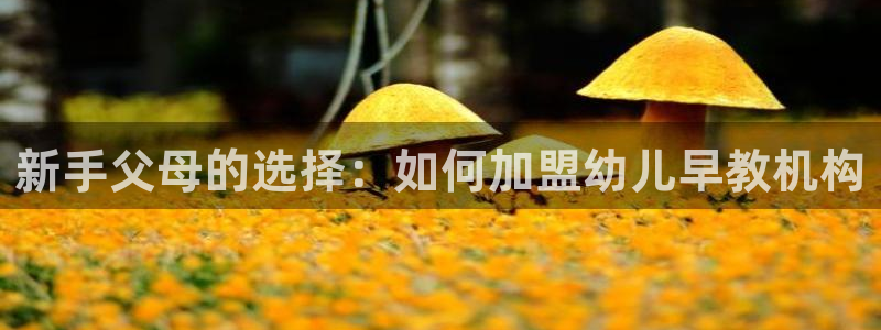 天顺娱乐够99840关：新手父母的选择：如何加盟幼儿早教机构