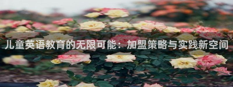 天顺国际娱乐会所：儿童英语教育的无限可能：加盟策略与实践新空间