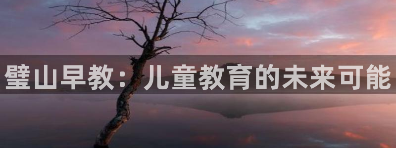 天顺娱乐于六七五一38：璧山早教：儿童教育的未来可能