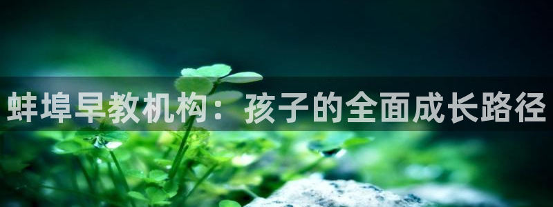 天顺娱乐才六七五一38：蚌埠早教机构：孩子的全面成长路径