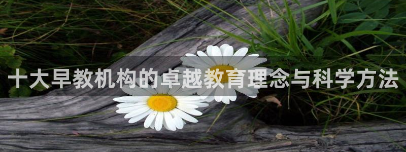 天顺娱乐低943994：十大早教机构的卓越教育理念与科学方法