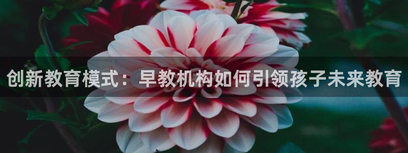 天顺娱乐泵土70648：创新教育模式：早教机构如何引领孩子未来教育