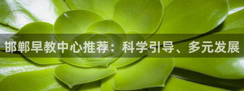 天顺娱乐个六七五一38：邯郸早教中心推荐：科学引导、多元发展