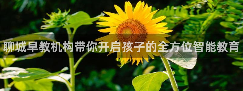 天顺娱乐招商主管：聊城早教机构带你开启孩子的全方位智能教育