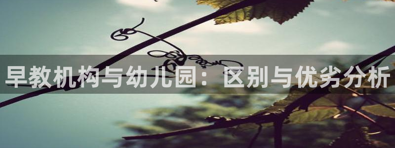 天顺娱乐喂 66 6：早教机构与幼儿园：区别与优劣分析