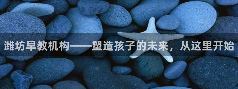 天顺娱乐 内r部36.668：潍坊早教机构——塑造孩子的未来，从这里开始
