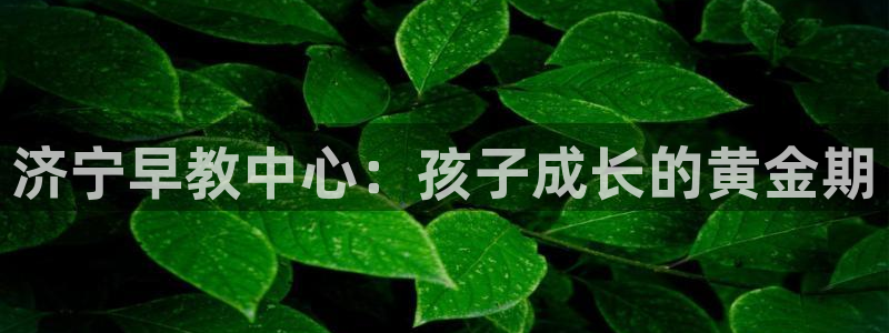 天顺娱乐袄羌74ooo5瀑：济宁早教中心：孩子成长的黄金期