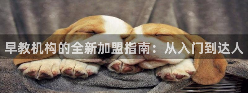 天顺娱乐xq云q速刂捷：早教机构的全新加盟指南：从入门到达人