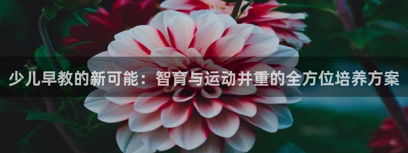 天顺娱乐官方网站首页：少儿早教的新可能：智育与运动并重的全方位培养方案