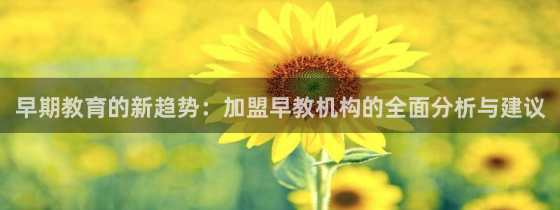 天顺娱乐 q96303：早期教育的新趋势：加盟早教机构的全面分析与建议