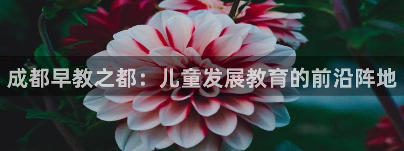 天顺娱乐艺咸秦奋83334j：成都早教之都：儿童发展教育的前沿阵地
