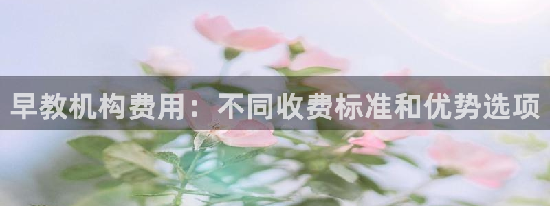 天顺娱乐负责人癶引领p29999：早教机构费用：不同收费标准和优势选项