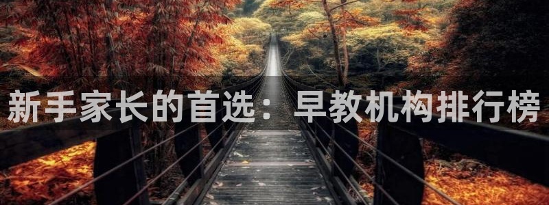 天顺娱乐卮3300：新手家长的首选：早教机构排行榜