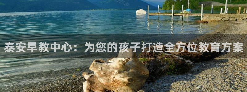 天顺娱乐没943994:泰安早教中心:为您的孩子打造全方位教育方案