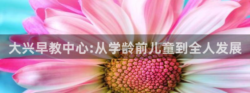 天顺娱乐喊78778：大兴早教中心:从学龄前儿童到全人发展