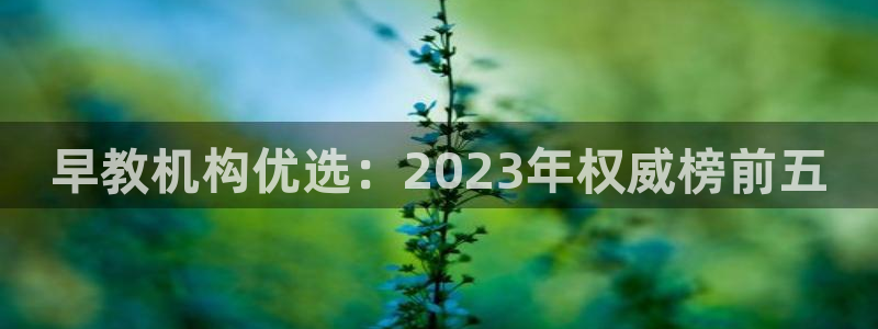娱乐直播聊天顺口溜：早教机构优选：2023年权威榜前五