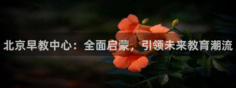 天顺娱乐焕78778卧:北京早教中心:全面启蒙,引领未来教育潮流