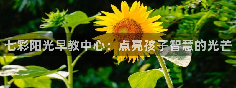 天顺娱乐周7O667:七彩阳光早教中心:点亮孩子智慧的光芒