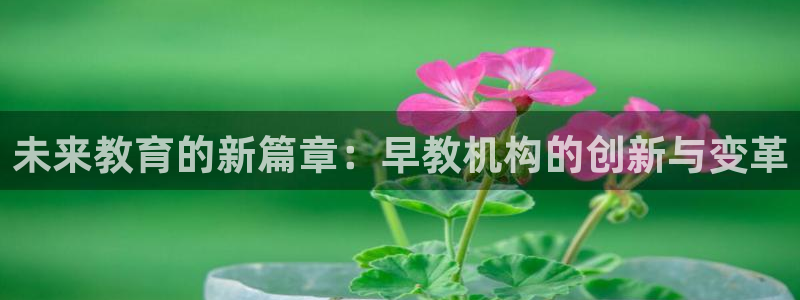 天顺娱乐辰55312：未来教育的新篇章：早教机构的创新与变革