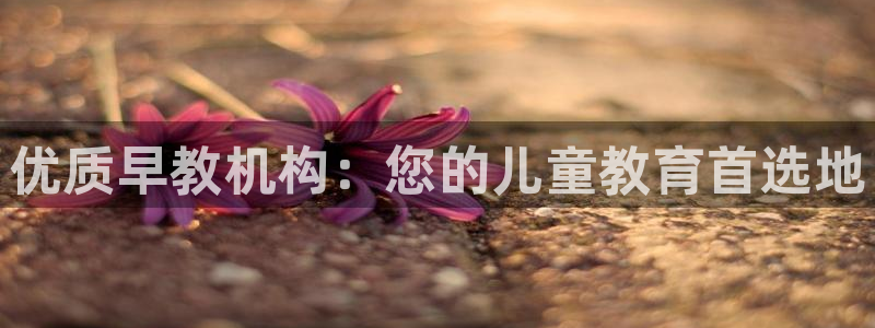 天顺娱乐匚条22650：优质早教机构：您的儿童教育首选地