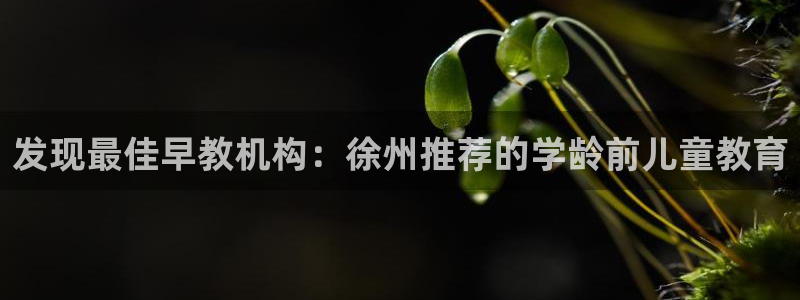 天顺娱乐来忧70648：发现最佳早教机构：徐州推荐的学龄前儿童教育