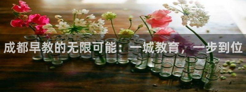 天顺娱乐澳70 48：成都早教的无限可能：一城教育，一步到位