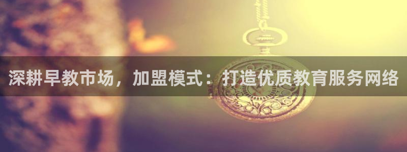 玛雅集团天顺娱乐怎么：深耕早教市场，加盟模式：打造优质教育服务网络