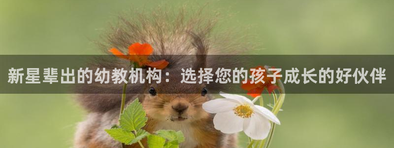 天顺娱乐主管学：新星辈出的幼教机构：选择您的孩子成长的好伙伴