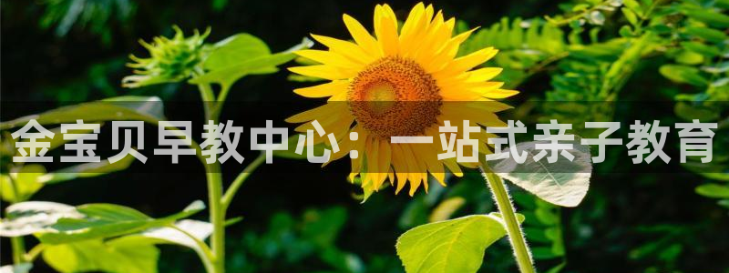 天顺娱乐　c实力772332：金宝贝早教中心：一站式亲子教育