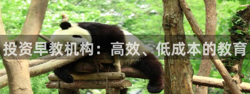 天顺娱乐主管毛判官333OO：投资早教机构：高效、低成本的教育