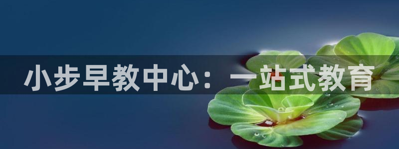 天顺娱乐佋俶p官22650：小步早教中心：一站式教育