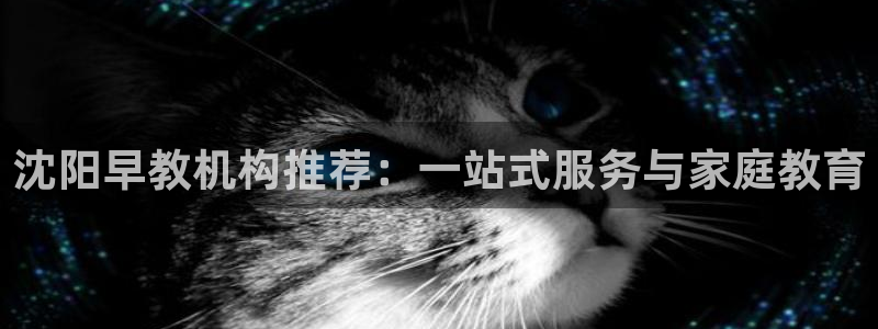 天顺娱乐施7O667：沈阳早教机构推荐：一站式服务与家庭教育