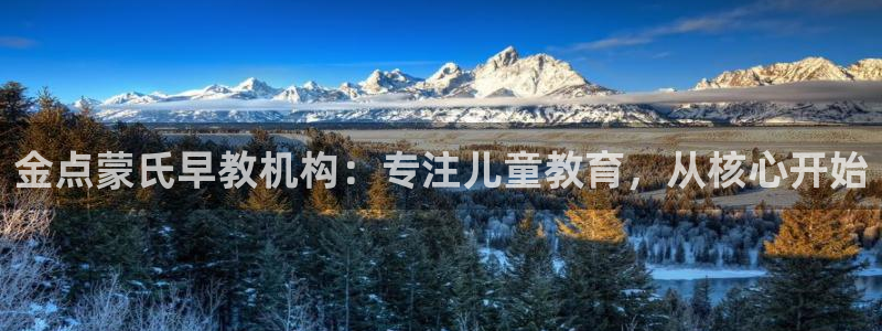 天顺娱乐夂去到p官58856：金点蒙氏早教机构：专注儿童教育，从核心开始