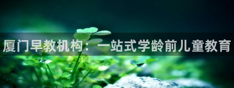 天顺娱乐铰943994：厦门早教机构：一站式学龄前儿童教育