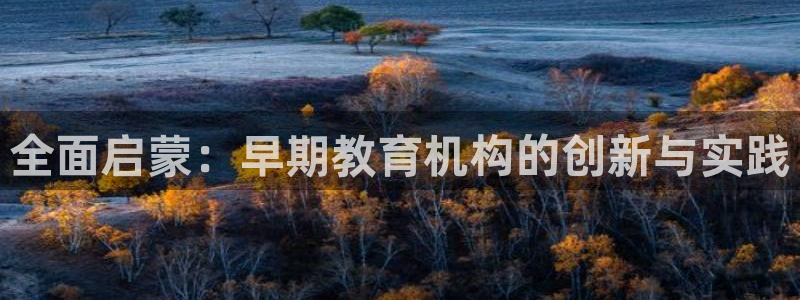 天顺娱乐优v96303：全面启蒙：早期教育机构的创新与实践