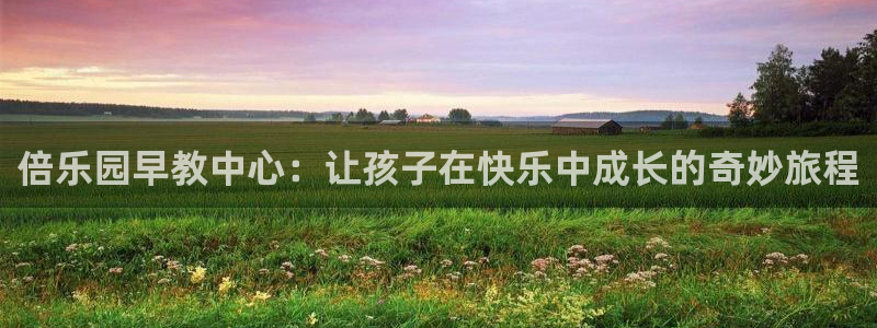 汝城天顺娱乐场所在哪儿：倍乐园早教中心：让孩子在快乐中成长的奇妙旅程