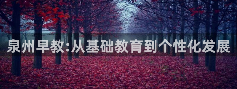 天顺电玩娱乐中心：泉州早教:从基础教育到个性化发展