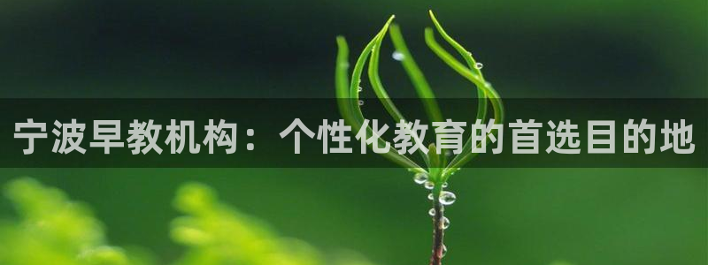 天顺娱乐会所临沧：宁波早教机构：个性化教育的首选目的地