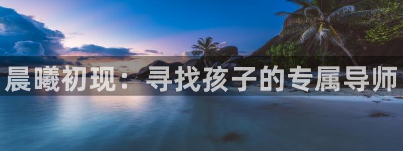 天顺娱乐诖943994:晨曦初现:寻找孩子的专属导师