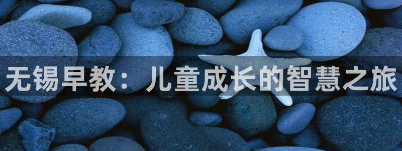 天顺娱乐前943994：无锡早教：儿童成长的智慧之旅