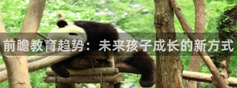 天顺娱乐毯 66 6:前瞻教育趋势:未来孩子成长的新方式