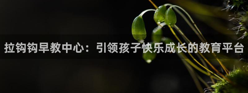 天顺娱乐腾刑秦奋83334j:拉钩钩早教中心:引领孩子快乐成长的教育平台