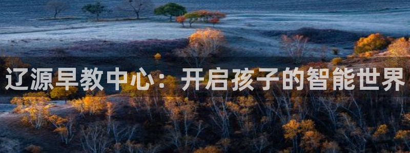 天顺娱乐网74OOO5：辽源早教中心：开启孩子的智能世界