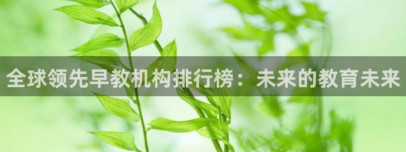 天顺娱乐氏70648：全球领先早教机构排行榜：未来的教育未来