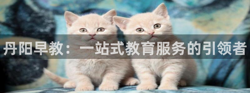 天顺娱乐柳灯35994求X：丹阳早教：一站式教育服务的引领者